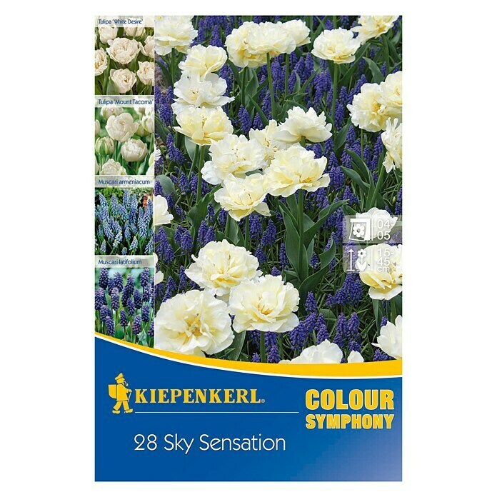 Kiepenkerl Mélange de bulbes de fleurs printanières Sky Sensation