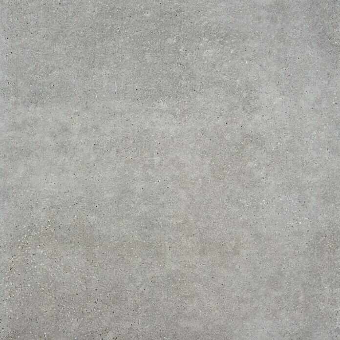 BHS Showroom Pavimento porcelánico Claire (60 x 60 cm, Cemento)