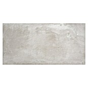 BHS Showroom Pavimento porcelánico R11/C3 Suave Stoneage (60 x 120 cm, Concreto)