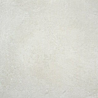 BHS Showroom Pavimento porcelánico Rodano (100 x 100 cm, Gris claro, Rectificado)