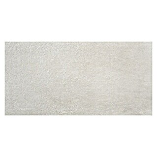 BHS Showroom Pavimento porcelánico Claire (120 x 60 cm, Gris, Rectificado)