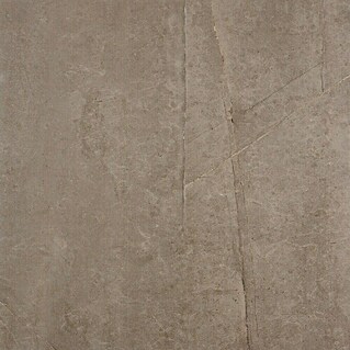 BHS Showroom Pavimento porcelánico Talo (75 x 75 cm, Natural, Rectificado)