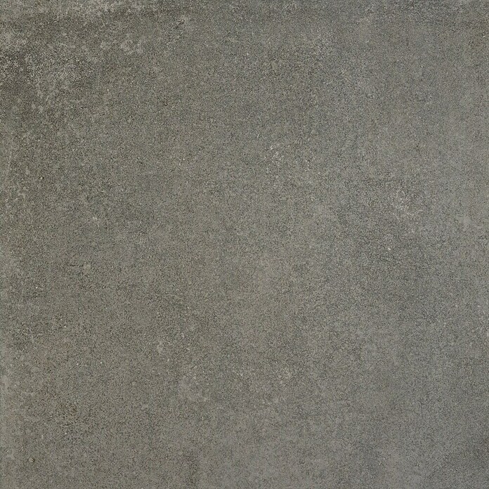BHS Showroom Pavimento porcelánico Lorraine (60 x 60 cm, Gris oscuro)