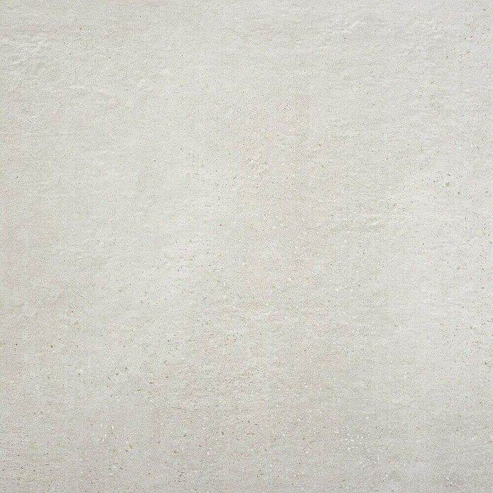 BHS Showroom Pavimento porcelánico Claire (60 x 60 cm, Gris)