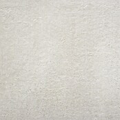 BHS Showroom Pavimento porcelánico Claire (60 x 60 cm, Gris)