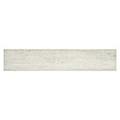 BHS Showroom Pavimento porcelánico Arhus (23,3 x 120 cm, Blanco)
