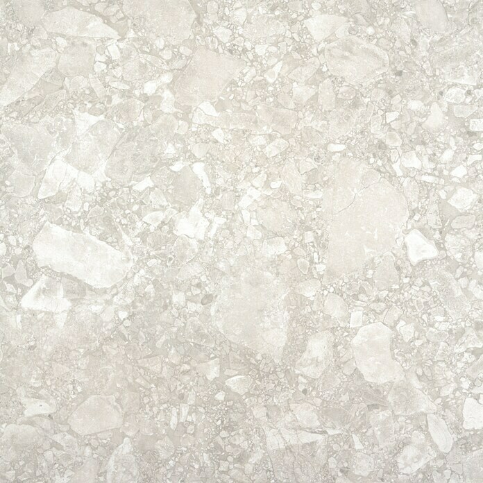 BHS Showroom Pavimento porcelánico Ceppo (60 x 60 cm, Gris claro)