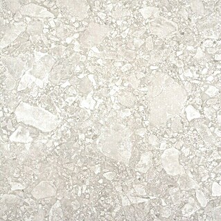 BHS Showroom Pavimento porcelánico Ceppo (60 x 60 cm, Gris claro, Rectificado)