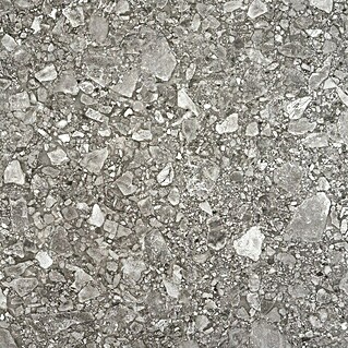 BHS Showroom Pavimento porcelánico Ceppo (60 x 60 cm, Gris oscuro, Rectificado)