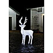 Konstsmide LED-Weihnachtsdekoleuchte Acryl-Rentier (30 x 80 x 130 cm, Weiß, Netzbetrieben, LED) | BAUHAUS