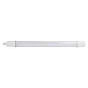 Ritter Leuchten LED-Feuchtraum-Lichtleiste (18 W, Länge: 720 mm, Neutralweiß, IP65)