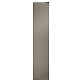 Expo Ambiente Flächenvorhang Basic (Taupe, 100 % Polyester, B x H: 60 x 300 cm)