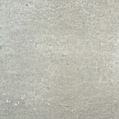 BHS Showroom Pavimento porcelánico Rodano Antislip (60 x 60 cm, Gris oscuro)