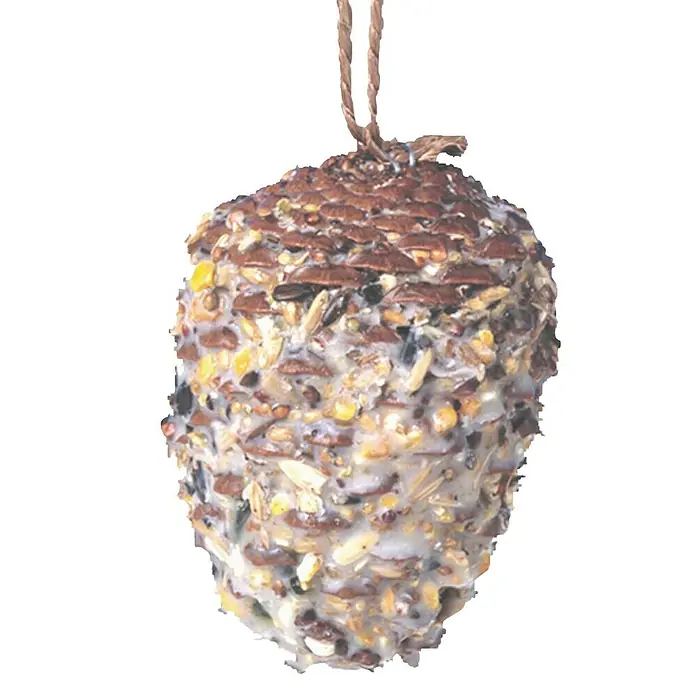 CocoBird Wildvogelfutter Pinienzapfen - 1 Stk. - Nahaufnahme eines hängenden Vogelfutterzapfens mit einer Mischung aus Samen und Nüssen, ideal für die Fütterung von Wildvögeln im Garten.