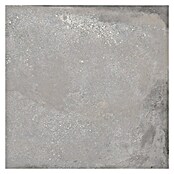 BHS Showroom Pavimento porcelánico Origin Antislip (60 x 60 cm, Acero)