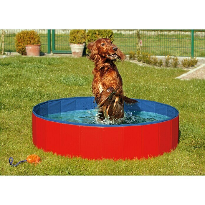 Karlie Piscina para perros (160 x 160 x 20 cm, Azul/Rojo)
