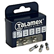 Talamex Glassicherung Set (10 Stk., Durchmesser: 5 mm, Länge: 20 mm) | BAUHAUS