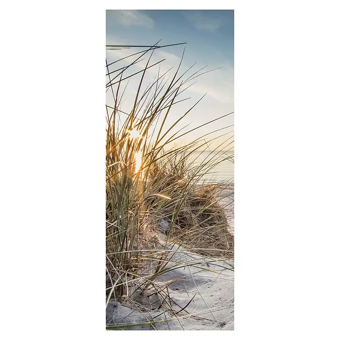 SanDesign Alu-Verbundplatte - 100 x 250 cm, Nordsee Düne 1 - Sonnenstrahlen durchbrechen das Dünengras und erhellen den Sandstrand. Ein friedlicher Küstenmoment, der die Natur in den Vordergrund stellt.