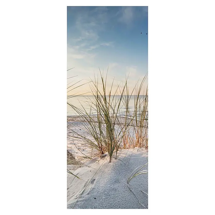 SanDesign Alu-Verbundplatte - 100 x 250 cm, Nordsee Düne 2 - Küstenlandschaft mit Strandhafer im Vordergrund, ruhigem Meer und leicht bewölktem Himmel. Friedliche Naturaufnahme.