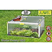 Juwel Frühbeet Biostar Protect 1000 (100 x 76,5 x 52 cm, Kunststoff) | BAUHAUS