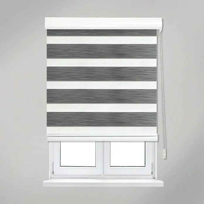 Estor noche y día París - An x Al: 165 x 250 cm, Gris - Una moderna cubierta de ventana con doble persiana enrollable gris con rayas transparentes y opacas alternas para un control de luz flexible.