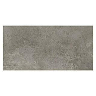 Queens Feinsteinzeugfliese (29,8 x 59,8 cm, Grau, Matt)