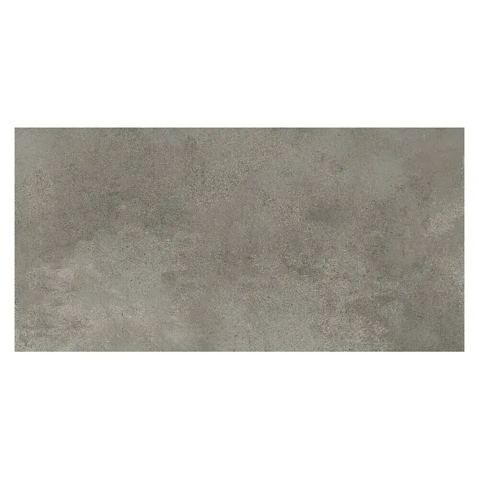 Queens Feinsteinzeugfliese - 29,8 x 59,8 cm, Grau, Matt - Nahaufnahme einer grauen, rechteckigen Fliese mit gesprenkelter Textur, ideal für moderne Innenräume.