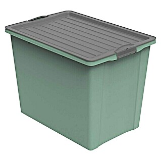 Rotho Stapelbox Compact Eco (L x B x H: 57 x 39,5 x 43,5 cm, Kunststoff, Mistletoe Grün)