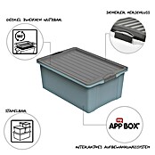 Rotho Stapelbox Compact (L x B x H: 57 x 40 x 25 cm, Kunststoff, Horizon Blue) | BAUHAUS