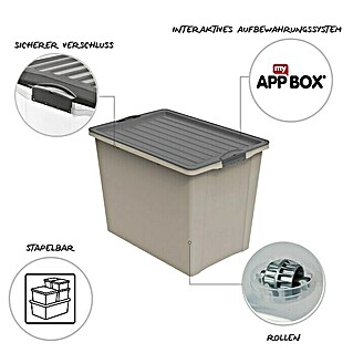 Rotho Stapelbox Compact Eco (L x B x H: 57 x 39,5 x 43,5 cm, Kunststoff, Cappuccino)