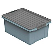 Rotho Stapelbox Compact (L x B x H: 39,5 x 27,5 x 18 cm, Kunststoff, Horizon Blue) | BAUHAUS