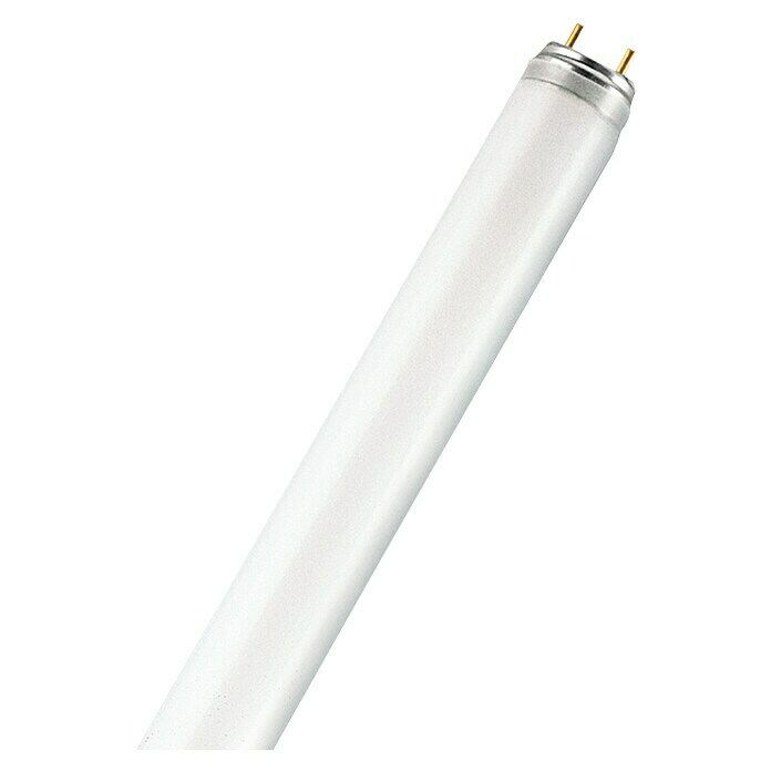 Leuchtstoffröhre (120 cm, 36 W, Tageslichtweiß, T8, G13)