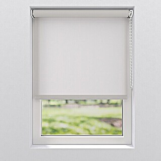 Rollo Eco (B x H: 210 x 190 cm, Grau, Uni)