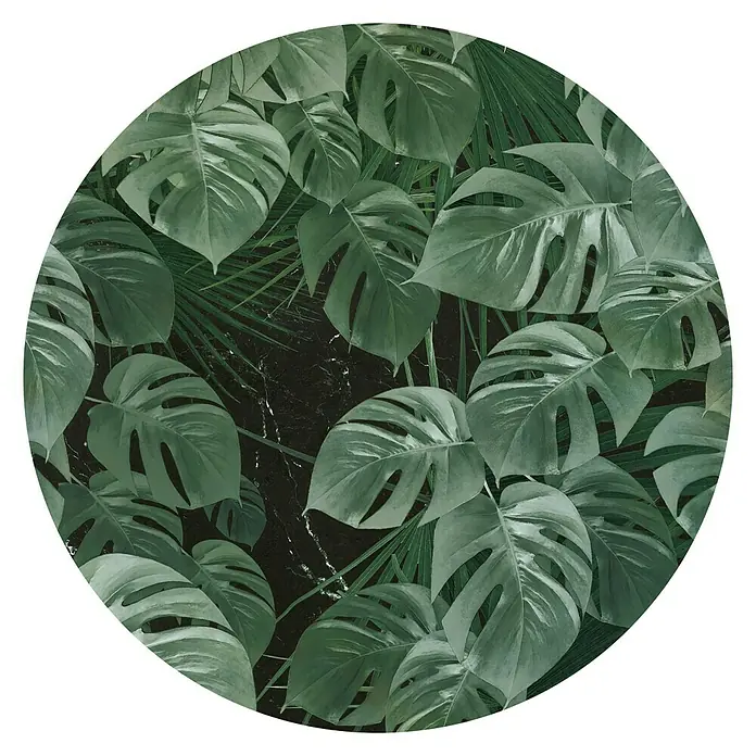 Komar Dots Fototapete rund Novel Monstera - 125 cm, Selbstklebend - Ein runder Teppich mit einem üppigen Monstera-Blattmuster. Perfekt, um jedem Raum einen Hauch von tropischer Eleganz zu verleihen, und ein echter Hingucker.