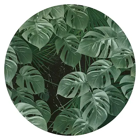 Komar Dots Fototapete rund Novel Monstera