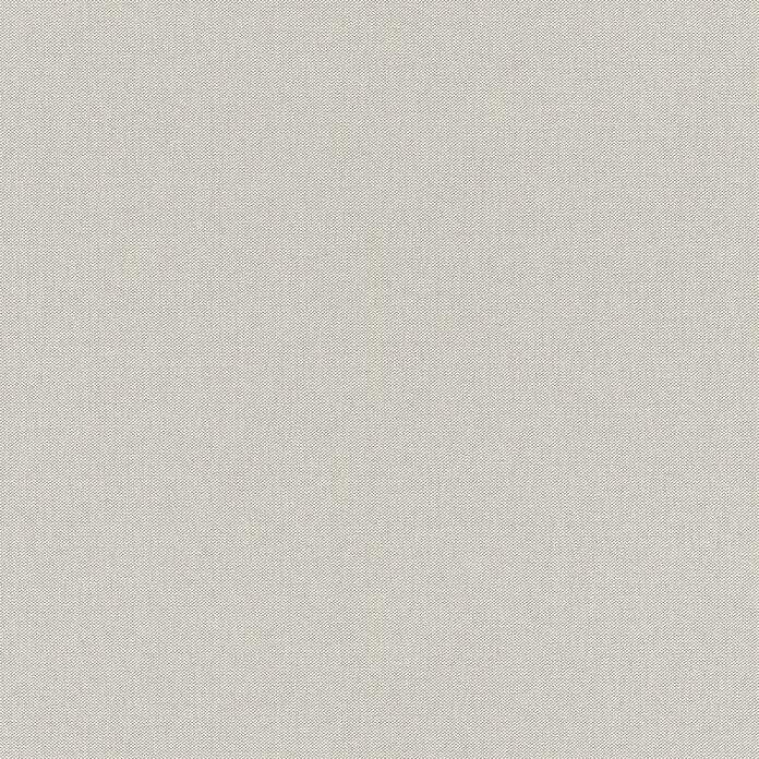 Rasch Poetry Vliestapete - Beige/Taupe, Uni, 10,05 x 0,53 m - Detailaufnahme
