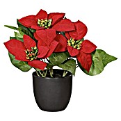 Kunstblume Poinsettia (Rot, 22 cm) | BAUHAUS