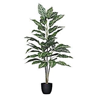 Kunstpflanze Dieffenbachia (Höhe: 100 cm, Grün, Kunststoff)