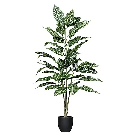 Kunstpflanze Dieffenbachia