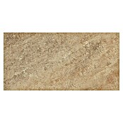Feinsteinzeugfliese (30 x 60 cm, Beige, Unglasiert)
