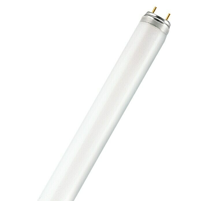 Möchten Sie eine universelle LED-Leuchtstoffröhre 150 cm mit Starter  kaufen? 