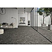 BHS Showroom Pavimento porcelánico Ceppo (60 x 60 cm, Antracita)