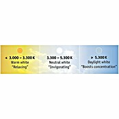 Paulmann MaxLED 500 Tira LED (3 m, Blanco neutro, 20 W) | BAUHAUS