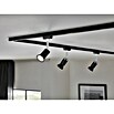 Paulmann LED-Lampe (GU10, Dimmbar, Warmweiß, 460 lm, 7 W, Farbe: Schwarz) | BAUHAUS