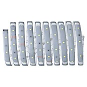 Paulmann MaxLED 250 Tira LED (Largo: 3 m, Color de luz: Blanco diurno, 12 W, 900 lm, IP44) | BAUHAUS