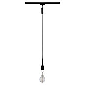 Paulmann URail Lámpara colgante DecoSystems (20 W, Altura: 135 cm, Negro) | BAUHAUS