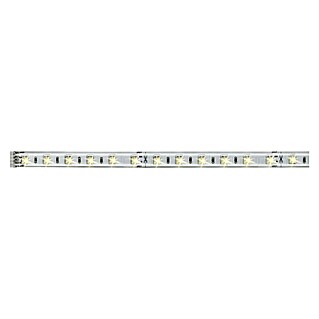 Paulmann MaxLED Tira LED (1 m, Blanco neutro)