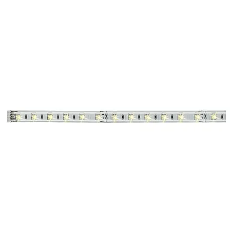 Paulmann MaxLED Tira LED