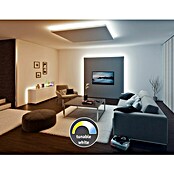 Paulmann MaxLED LED traka Tunable White  (1 m, Neutralno bijelo) | BAUHAUS