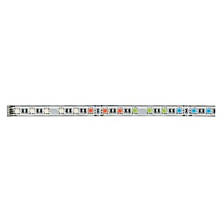 Paulmann MaxLED Tira LED (1 m, RGBW)